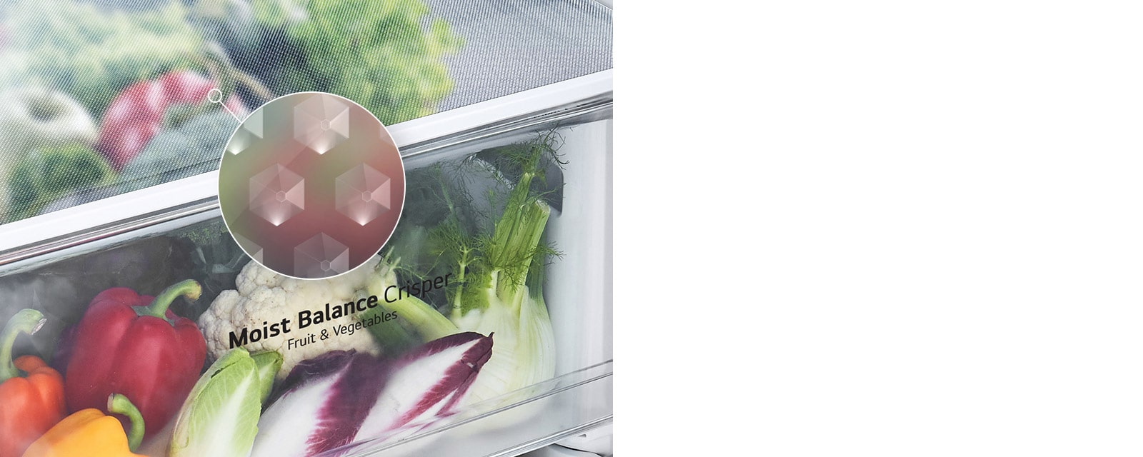 An image of the Moist Balance Crisper drawer is shown filled with fresh produce and a magnified inlay shows the lattice-patterned box cover which helps keep food fresh.