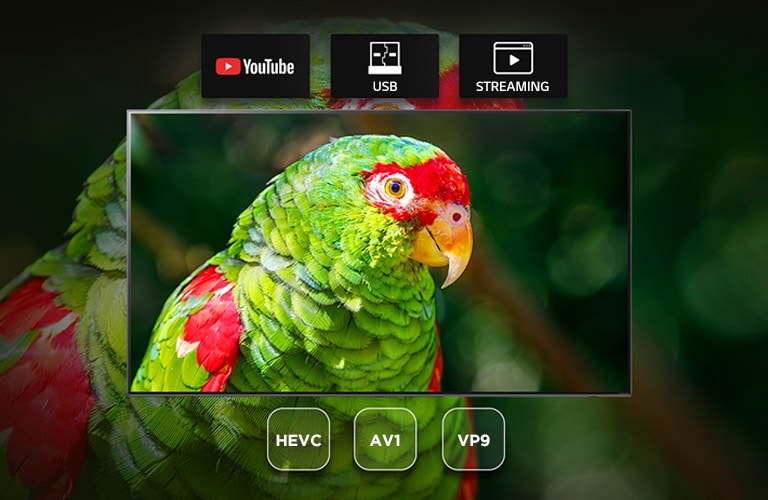 TV screen showing green parrot documentary with Youtube, USB and Streaming icons