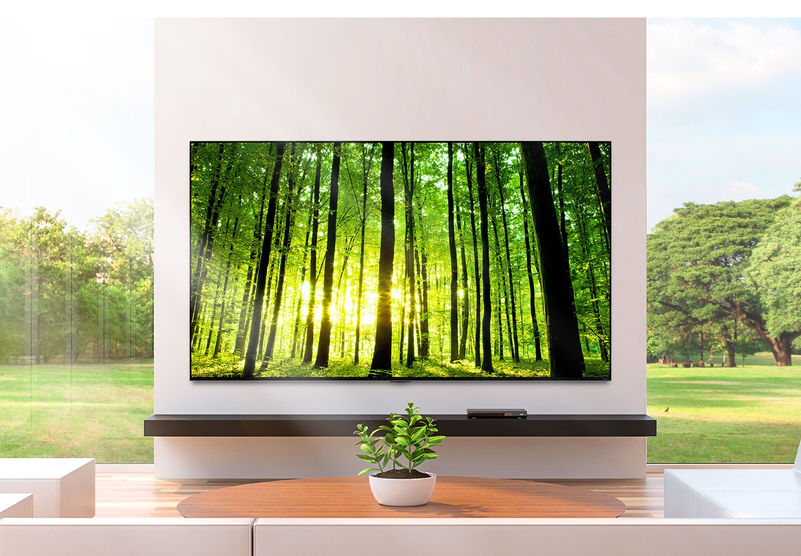 Large flatscreen TV mounted against a wall in front of floor-to-ceiling windows. A small plant sits on a coffee table in front of the TV.