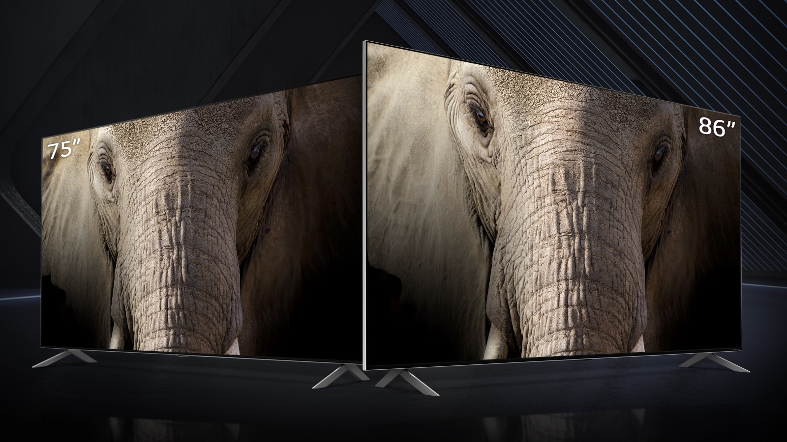 A 75- and 86-inch ultra-large LG QNED Mini LED TV stood side-by-side against a dark backdrop. The screens show a close-up image of an elephant’s face.