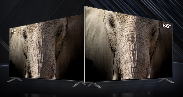 A 75- and 86-inch ultra-large LG QNED Mini LED TV stood side-by-side against a dark backdrop. The screens show a close-up image of an elephant’s face.