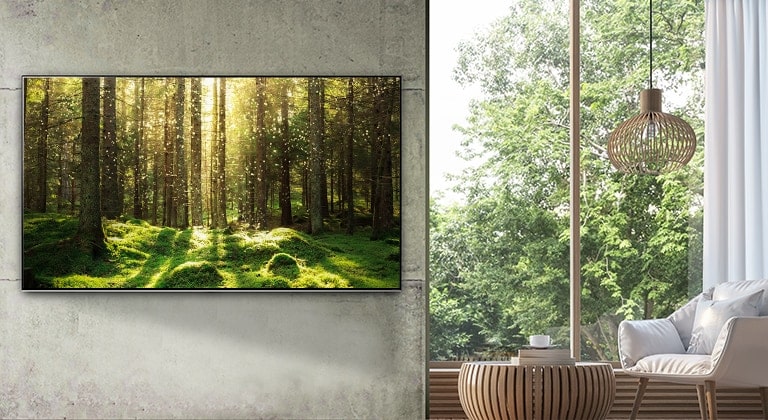 A large flatscreen TV mounted against a grey wall next to a floor-to-ceiling window and natural wooden furniture. The screen shows a forest scene with light shining through the trees.