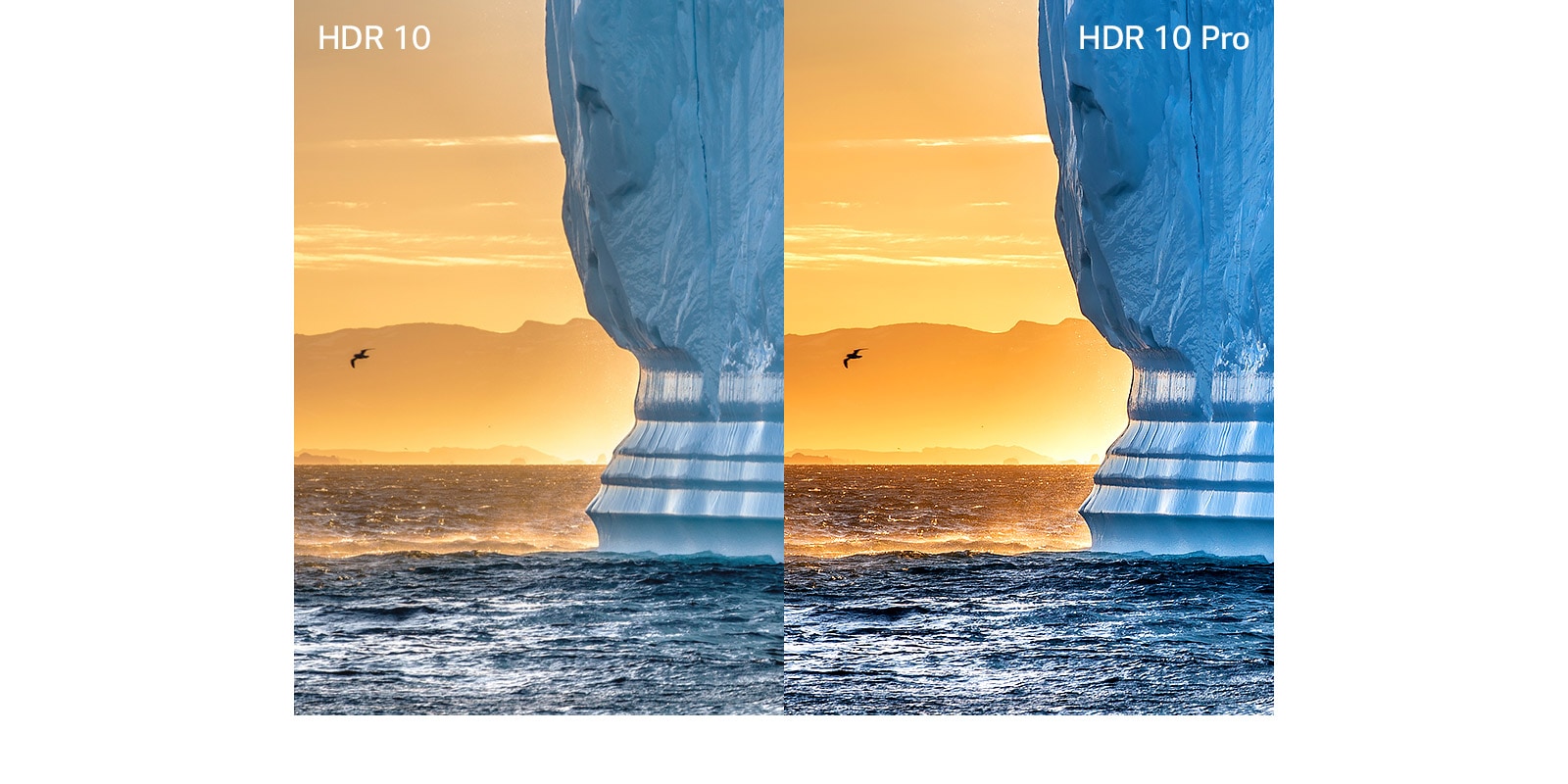 A picture of the sea, a seagull on the left, and the cliff on the right with the text of HDR on the upper left is blurry. A picture of the sea, a seagull on the left, and the cliff on the right with the text of HDR 10 Pro on the upper right is clearer and more realistic.