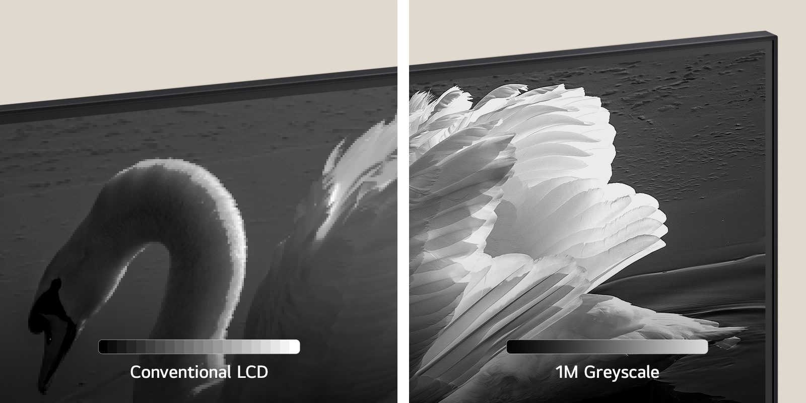 qned-qned90-14-million-grey-scale-d